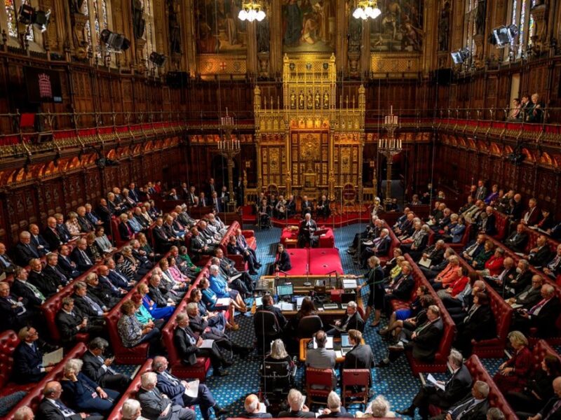 hl so22 debate rogerharris 800x600 - Offers in the UK Higher Chamber of Parliament
